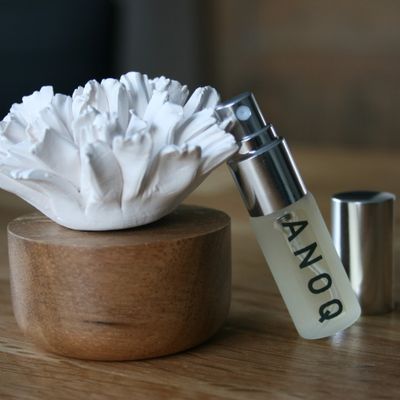 Ceramic - Home Perfume Diffuser Carnation - ANOQ