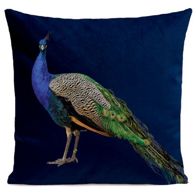 Fabric cushions - ROYAL PEACOCK Cushion 40*40 - ARTPILO