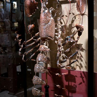 Decorative objects - Lobster shattered with Beauoak - DESIGN & NATURE