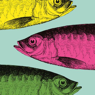 Linge d'office - Torchon Sardine - ZOOH