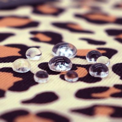 Range-tout - Sacoche / housse d'ordinateur iPad : Sand Leopard - CASYX