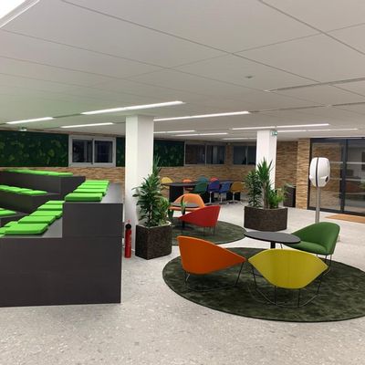 Tapis contemporains - Lino Tapis - Couleur Vert L06. - SECRETS OF LINEN