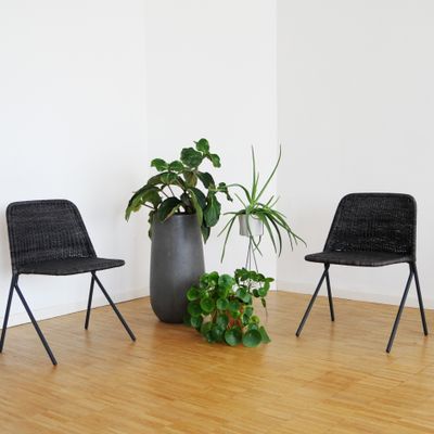 Chaises pour collectivités - Kakī chair intérieur | chaises - FEELGOOD DESIGNS