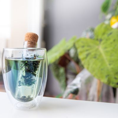 Mugs - GLASS INFUSER - GREENMA