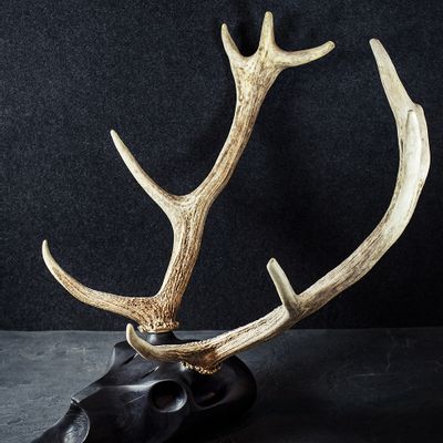 Unique pieces - Wooden Animal Skull Sculptures. - ATELIER PEV / PATRICK EVESQUE