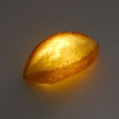 Outdoor decorative accessories - PAMPSHADE -coupe bread lamp - - PAMPSHADE BY YUKIKO MORITA