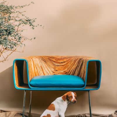 Chairs for hospitalities & contracts - Stade Lounge Chair - FINALI FURNITURE