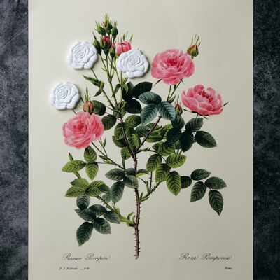 Gifts - Aroma Ornament for Drawer - BALLON