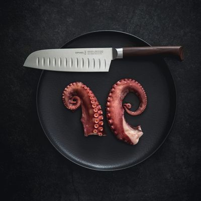 Kitchen utensils - Kitchen knives\" The Forged 1890" - OPINEL