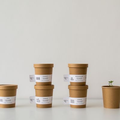 Spa - Tea Infusion Drink it - Plant it | Organic Herbal Tea Blend - RHOECO - FINE ORGANIC GOODS