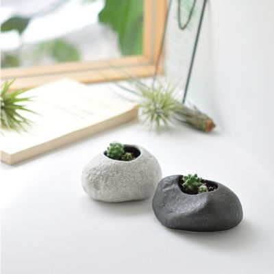 Cadeaux - Plants Rock - NOTED