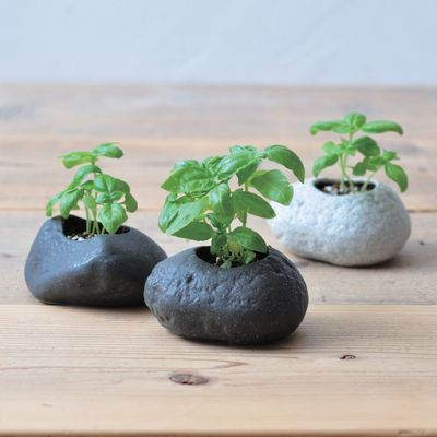Accessoires de déco extérieure - Plantes - Rock - NOTED