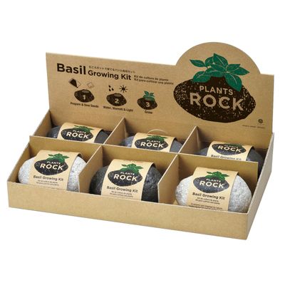 Accessoires de déco extérieure - Plantes - Rock - NOTED