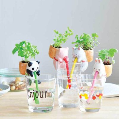 Children's decorative items - Chuppon - Plant object - NOTED