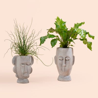 Floral decoration - PÉTREA - DESIGN ROOM COLOMBIA