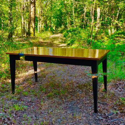 Dining Tables - Wood and resin table - MEUBLES THOURET