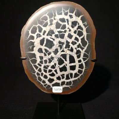 Decorative objects - Septarias on a base - Cabinet of curiosities - Minerals - METAMORPHOSES