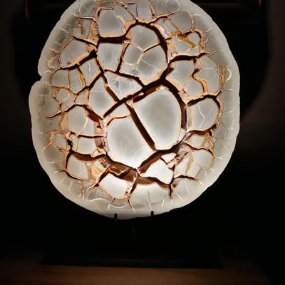 Decorative objects - Septarias on a base - Cabinet of curiosities - Minerals - METAMORPHOSES