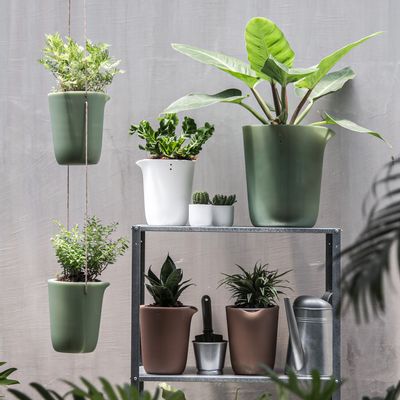Flower pots - Oasis Round Pot : Self-Watering Plant Pot for indoor and outdoor garden Home decorative - From Recycled Plastic  - QUALY DESIGN OFFICIAL
