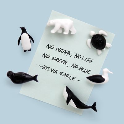 Gifts - Save The Ocean Magnets : Ocean Stationery Collection : Eco-Friendly Material 100% recyclable. - QUALY DESIGN OFFICIAL
