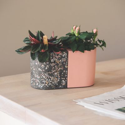 Design objects - Facet & Terrazzo | T-light _ Flowerpot _ Candle holder_ Wine Cooler - ATELIER PIERRE