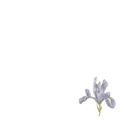Table linen - IRIS napkin - ARTIPARIS