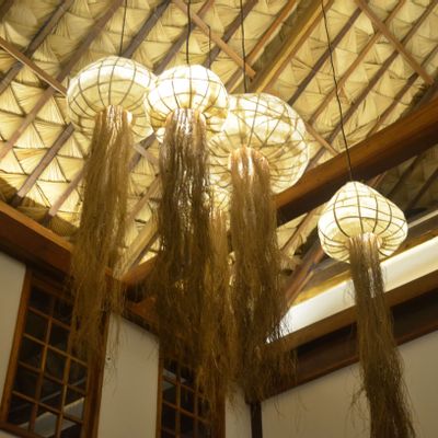 Hanging lights - Washable Lamps (Jelly Fish) - INDIGENOUS