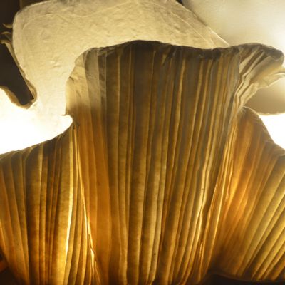 Floor lamps - Washable Lamp (Coral) - INDIGENOUS