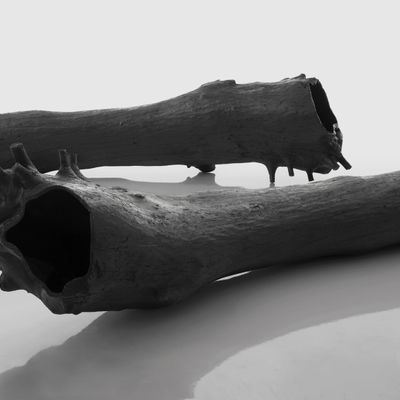 Bancs - OLMO - IMPERFETTOLAB