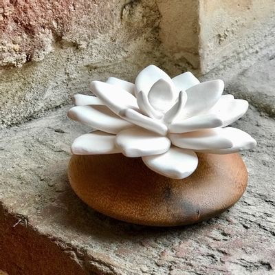 Scents - Natural fragrance diffuser made of porcelain and wood - JADE - ANOQ
