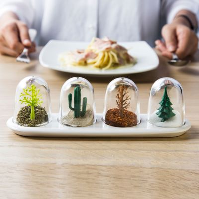 Everyday plates - Four Season Salt and Pepper Shaker - Kitchenware : Kitchen room Spice Cactus Dining and Tableware Party - QUALY DESIGN OFFICIAL