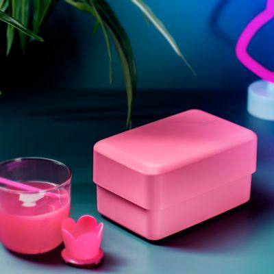 Assiettes au quotidien - BENTO NIBBLE - TAKENAKA BENTO BOX