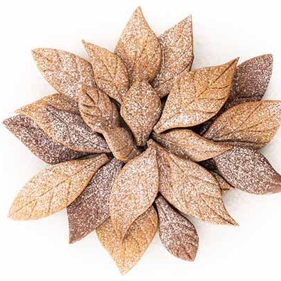 Molds - Mold COOKIE VOILA - - SILIKOMART S.R.L.