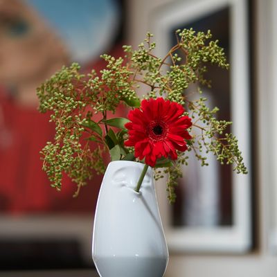 Vases - Vase haut - Décontracté - 58 PRODUCTS - TASSEN