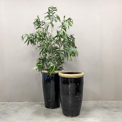 Flower pots - Extra Large Black Glazed Planter - THE SILK ROAD COLLECTION