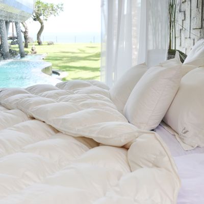 Couettes et oreillers - Couette en duvet d'oie d'Europe - Queen - 900 g (chaud) - CROWN GOOSE