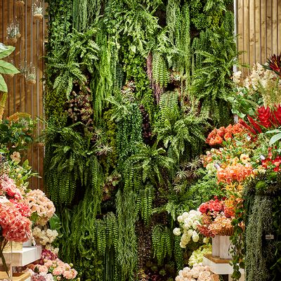 Décorations florales - Mur végétal - LOU DE CASTELLANE - plantes et fleurs artificielles - LOU DE CASTELLANE
