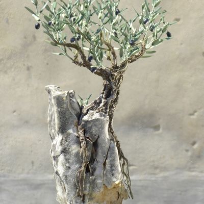Decorative objects - olive tree Bonsai on rock - L'OLIVIER FORGÉ