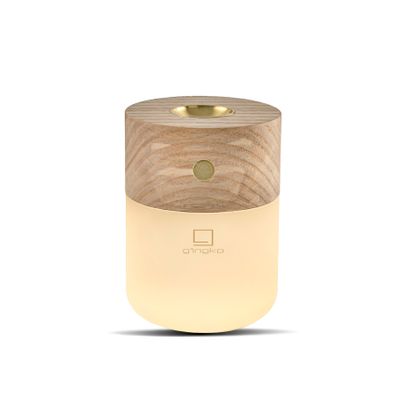 Other smart objects - Smart Diffuser Lamp. - GINGKO