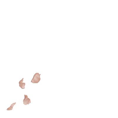 Table linen -  ROSE  napkin - ARTIPARIS