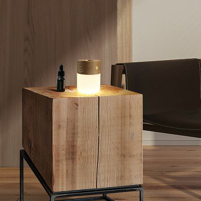 Autres objets connectés  - Lampe Diffuseur Smart. - GINGKO