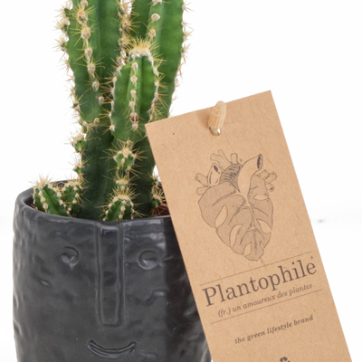 Cadeaux - TOP VENTE - Cactus mix dans un cache-pot visage noir - medium - PLANTOPHILE