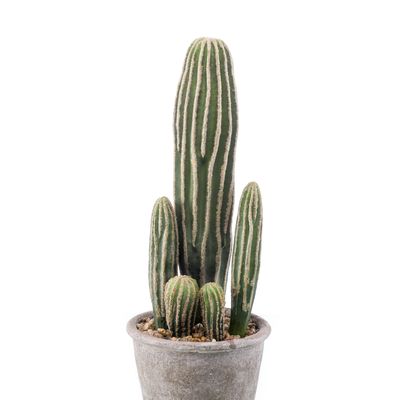 Décorations florales - Collection de plantes artificielles vertes - EMERALD ETERNAL GREEN BV