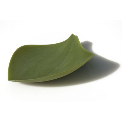 Everyday plates - Seasons Silicone plates medium 4 pcs set - COVO