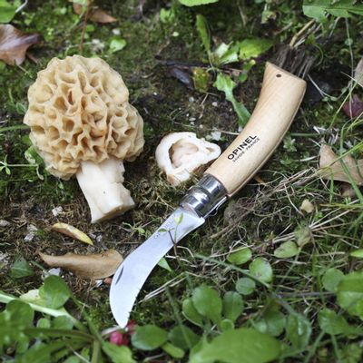 Kitchen utensils - Mushroom knife N°08 - OPINEL