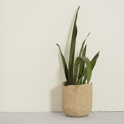 Flower pots - Paper Clay Bark Planter - INDIGENOUS