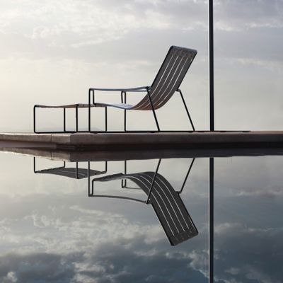 Parasols - Parasol Bloom - ROYAL BOTANIA