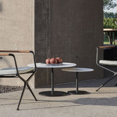 Chairs - Exes chair - ROYAL BOTANIA