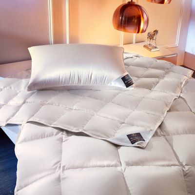 Comforters and pillows - ARCTIC Down Pillow - BRINKHAUS