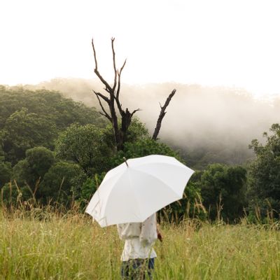 Accessoires de voyage - PARAPLUIE RAIN UMBRELLA - BUSINESS & PLEASURE CO.